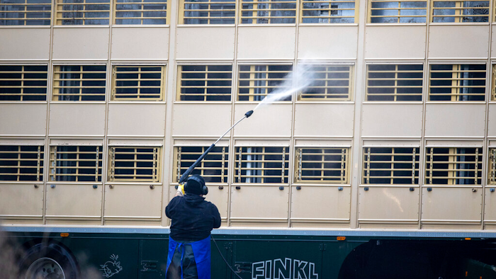 A man cleans a cattle truck on the premises of a pig breeding farm in Vogelsang, northern Germany on Nov. 17, 2021.