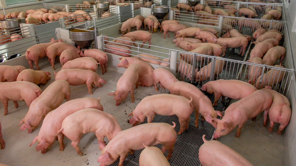 What California's Farm Animal Confinement Law Means For Your Business |  Food Manufacturing