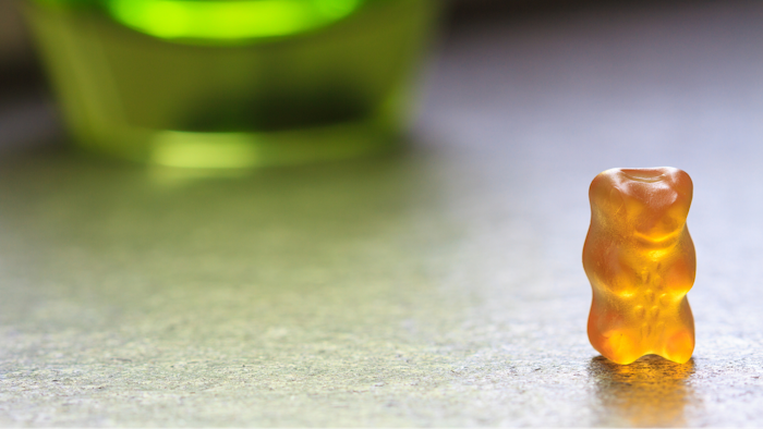 A golden bear stands alone.