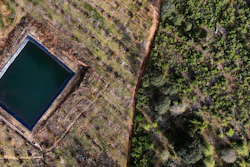 A retaining pond sits amid an avocado plantation bordering a pine forest in the Indigenous township of Cheran, Michoacan state, Mexico on Jan. 20, 2022.