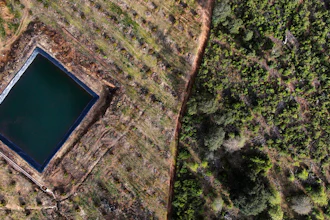 A retaining pond sits amid an avocado plantation bordering a pine forest in the Indigenous township of Cheran, Michoacan state, Mexico on Jan. 20, 2022.
