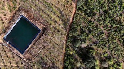 A retaining pond sits amid an avocado plantation bordering a pine forest in the Indigenous township of Cheran, Michoacan state, Mexico on Jan. 20, 2022.