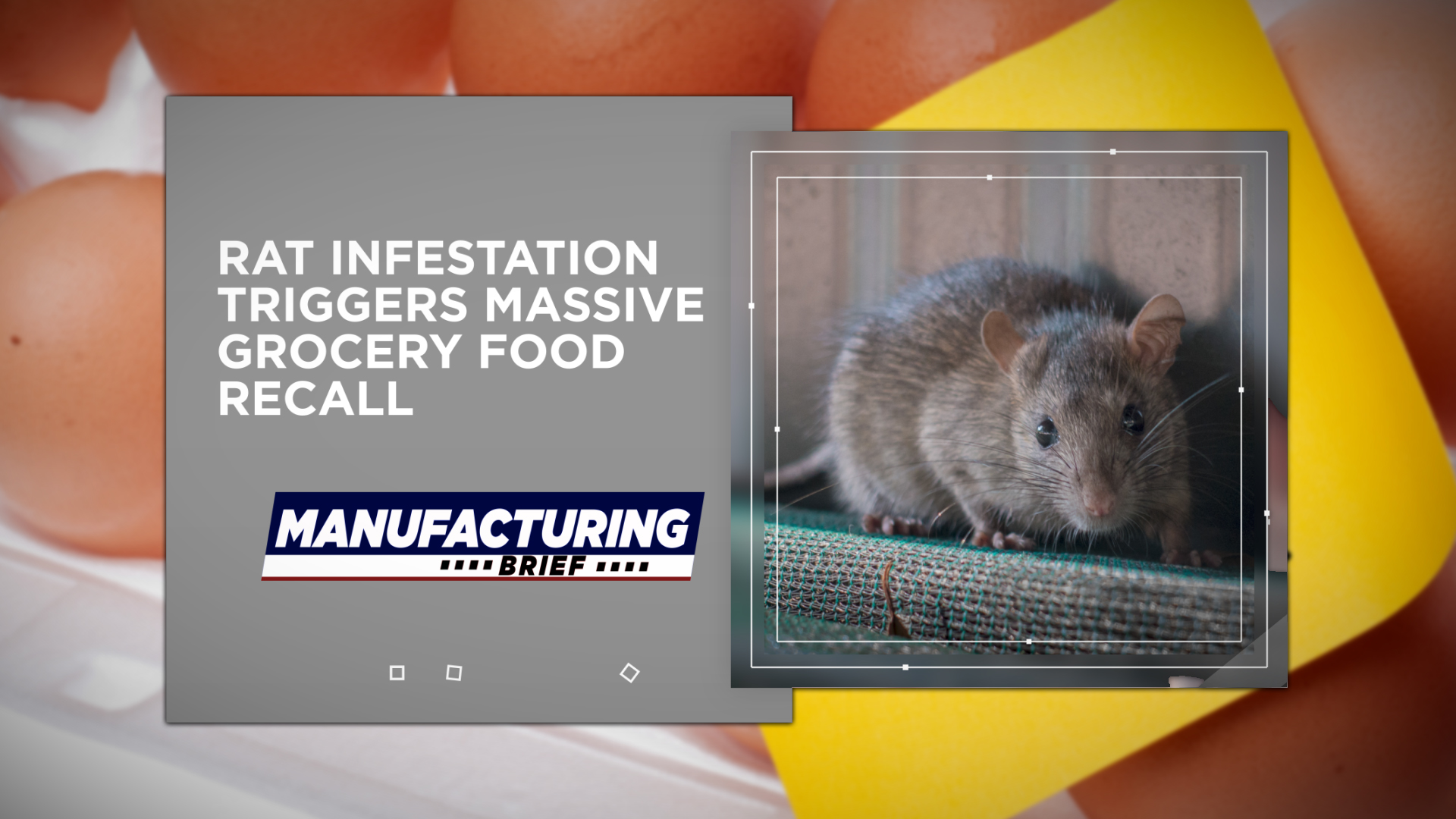 Rat Infestation Triggers Massive Grocery Food Recall Food Manufacturing   Rattn.61e9eaebddb02 