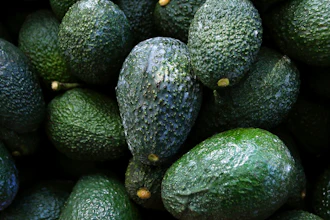 Recently harvested avocados at an orchard near Ziracuaretiro, Michoacan state, Mexico, Oct. 1, 2019. Mexico has acknowledged late Saturday, Feb. 13, 20222, that the U.S. government has suspended all imports of Mexican avocados after a U.S. plant safety inspector in Mexico received a threat.