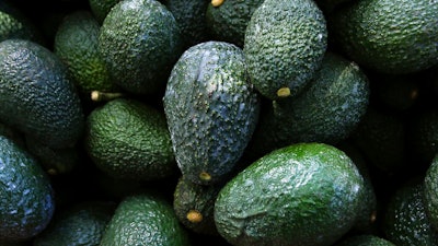 Recently harvested avocados at an orchard near Ziracuaretiro, Michoacan state, Mexico, Oct. 1, 2019. Mexico has acknowledged late Saturday, Feb. 13, 20222, that the U.S. government has suspended all imports of Mexican avocados after a U.S. plant safety inspector in Mexico received a threat.