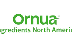 Ornua Ingredients North America Rgb (1)
