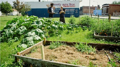 Students assessing an urban agricultural site in Detroit's Lower Eastside.