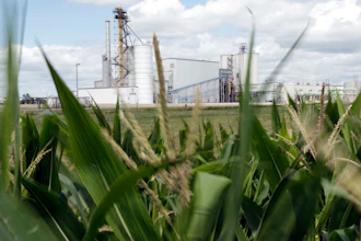 Ethanol plant near Nevada, Iowa, July 20, 2013.