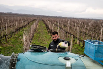Farmer Dimitris Kakalis, 25, fills a spray machine with pesticide at his vineyard near Tyrnavos, Greece, Feb. 13, 2022.