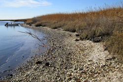 Eroding archaeological site on Maryland’s Eastern Shore.