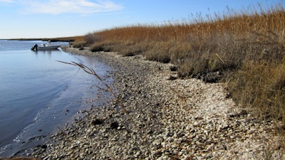 Eroding archaeological site on Maryland’s Eastern Shore.