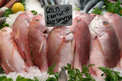 Tropical red snapper for sale in a London market.