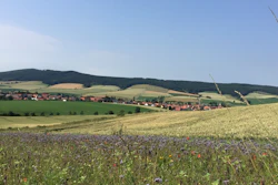 Flower strips next to a conventional wheat field near Sebexen, Germany.