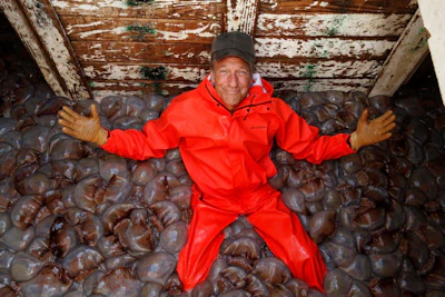 Mike Rowe