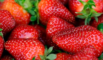 Fresh-picked strawberries are shown. U.S. and Canadian regulators are investigating a hepatitis outbreak that may be linked to fresh organic strawberries.