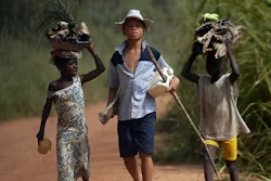 Children living in a cocoa-producing village walk back from the fields on the outskirts of the town of Oume, Ivory Coast, on June 30, 2005.