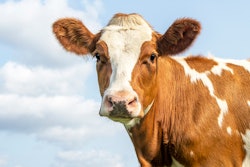 Unapproved drugs like these CBD products have not been evaluated by the FDA.