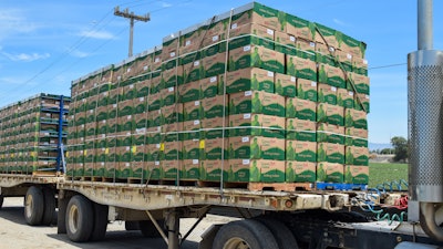 Iceberg lettuce loaded onto trucks, Salinas, Calif., June 2015.
