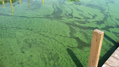 Heavy nutrient runoff from farmlands produces chronic blooms of algae in Lake Erie, the smallest Great Lake by volume.