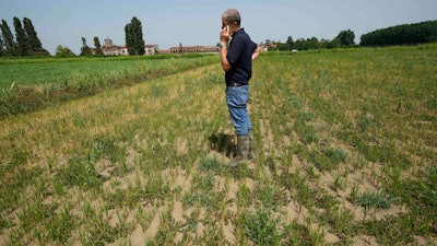 Farmer Giovanni Daghetta makes a call from a dried rice field, Mortara, Italy, June 27, 2022.
