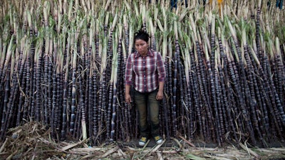 A woman sells sugar cane at the Oriental Market in Managua, Nicaragua, Dec 7, 2012.