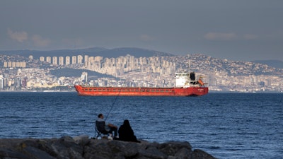 A cargo ship anchored in the Marmara Sea awaits access to cross the Bosphorus Straits, Istanbul, July 13, 2022.