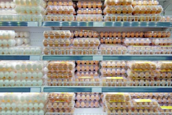 I Stock 646696510