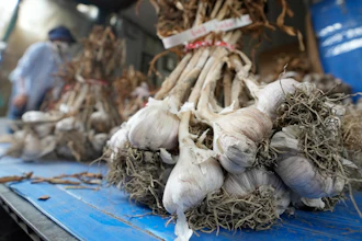Bulbs of garlic are displayed at a shop in Seoul, Aug. 3, 2022.