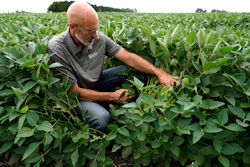 Jeff O'Connor checks soybeans at his farm, Kankakee, Ill., Aug. 4, 2022.