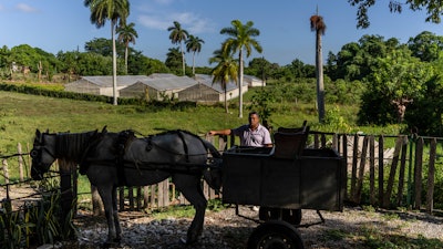 Misael Ponce at his Vista Hermosa farm, Bacuranao, Cuba, Aug. 4, 2022.