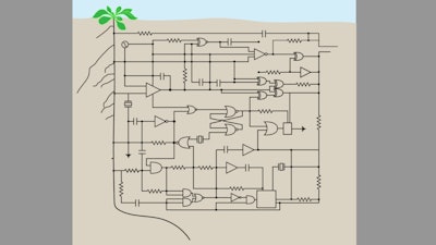 Synthetic genetic circuits designed to rewire gene expression in plant roots may be used to change the way they grow.