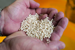 Danimer Scientific is one of the companies making a big bet on bioplastic with its expansion of a plant.