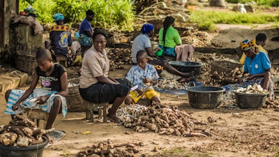 Cassava processing at the Ajara farm settlement, Badagry, Nigeria.