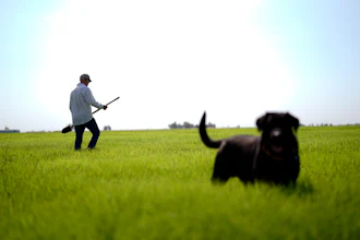 Larry Cox walks in a field of Bermudagrass with his dog, Brodie, at his farm near Brawley, Calif., Aug. 15, 2022.