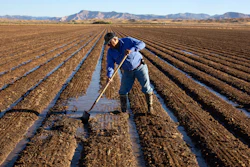 Joe Bernal works on his family's farm in Fruita, Colo., Sept. 1, 2022.