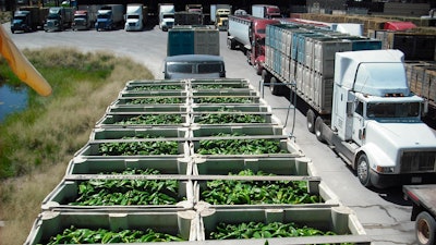 A truckload of green chiles at the port of entry at Columbus, N.M., in 2021.