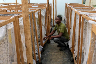 Muhammad Magezi, of agricultural exporter Enimiro, checks on cages holding black soldier flies, Kangulumira, Uganda, Sept. 5, 2022.