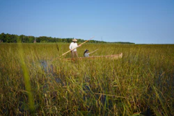 Nate Johnson and Kendra Haugen harvest rice in Steamboat Bay on Leech Lake, Minn., Sept. 12, 2022.