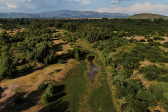 The Yaqui River on the outskirts of Vicam, Mexico, Sept. 26, 2022.