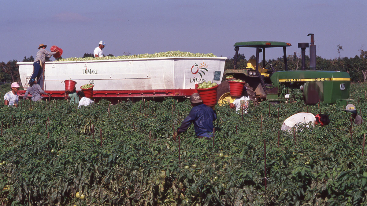 Labor Racketeering Farm Labor Contractor Pleads Guilty in Racketeering Conspiracy | Food ...
