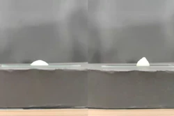 Soft and stiff foam based on hydrophilic and hydrophobic bacteria.