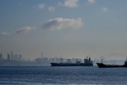 Cargo ships anchored in the Marmara Sea wait to cross the Bosphorus Straits in Istanbul, Nov. 1, 2022.