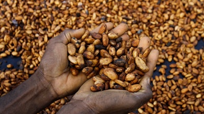 Cocoa farmer Sylvain N'goran holds cocoa beans in Bocanda, Ivory Coast, Oct. 24, 2022.