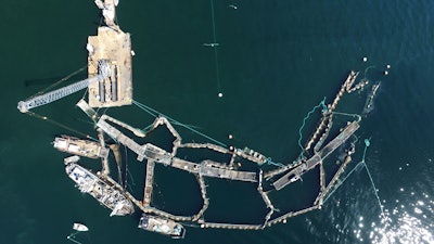 A crane and boats anchored next to a collapsed 'net pen' near Cypress Island, Wash., Aug. 28, 2017.