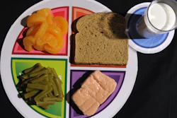 A sample plate of the food icon MyPlate at the U.S. Department of Agriculture in Washington, June 2, 2011.