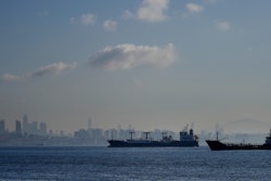 Cargo ships anchored in the Marmara Sea wait to cross the Bosphorus Straits in Istanbul, Nov. 1, 2022.
