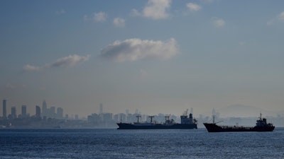 Cargo ships anchored in the Marmara Sea wait to cross the Bosphorus Straits in Istanbul, Nov. 1, 2022.