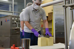 Cheese cutting at the UConn Creamery.