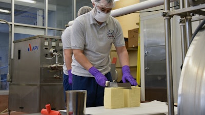 Cheese cutting at the UConn Creamery.