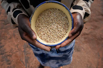 Maria Chagwena, a millet farmer, holds a plate with millet grains outside her house in Zimbabwe's arid Rushinga district, Jan, 18, 2023.